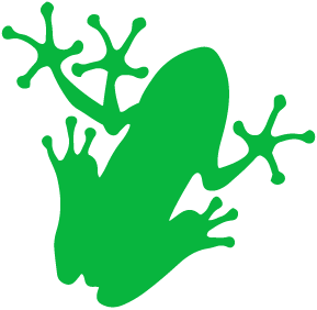 Minnesota New Country School logo